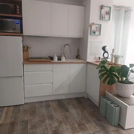 Appartement Nid Douillet Refait A Neuf, Proche De La
