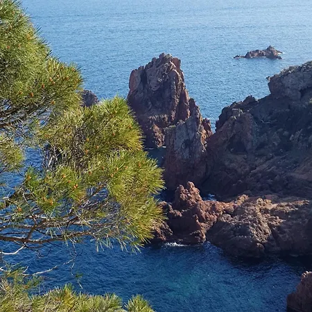 Nid Douillet Refait A Neuf, Proche De La * מאנדליה-לה-נאפול